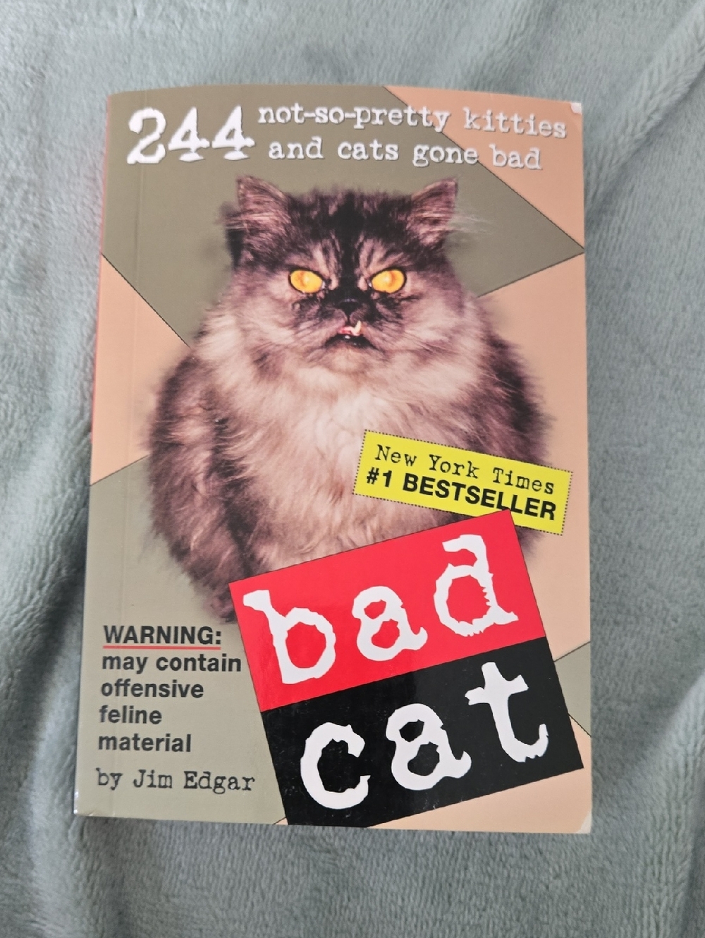 Bad Cat: Humorous Cat Photo Paperback Book